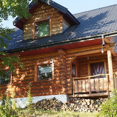 Willa Dom Pachnacy Zywica Bochnia Zewnętrze zdjęcie